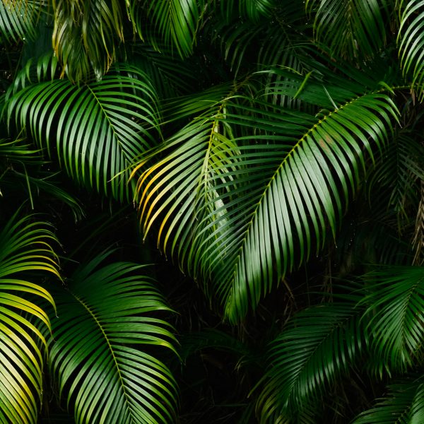 Ambiance de La Vie Sauvage MAM'ZELLE
