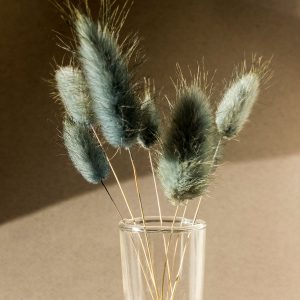 Collection Absolut MAM