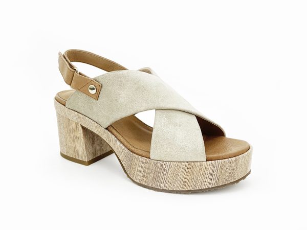 WILIA – Image 2