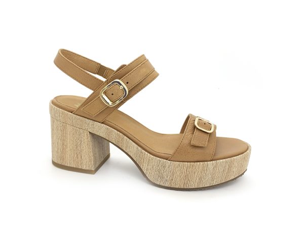 WISAL – Image 2